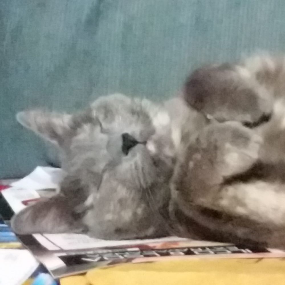 Meet your Posher, Tracie